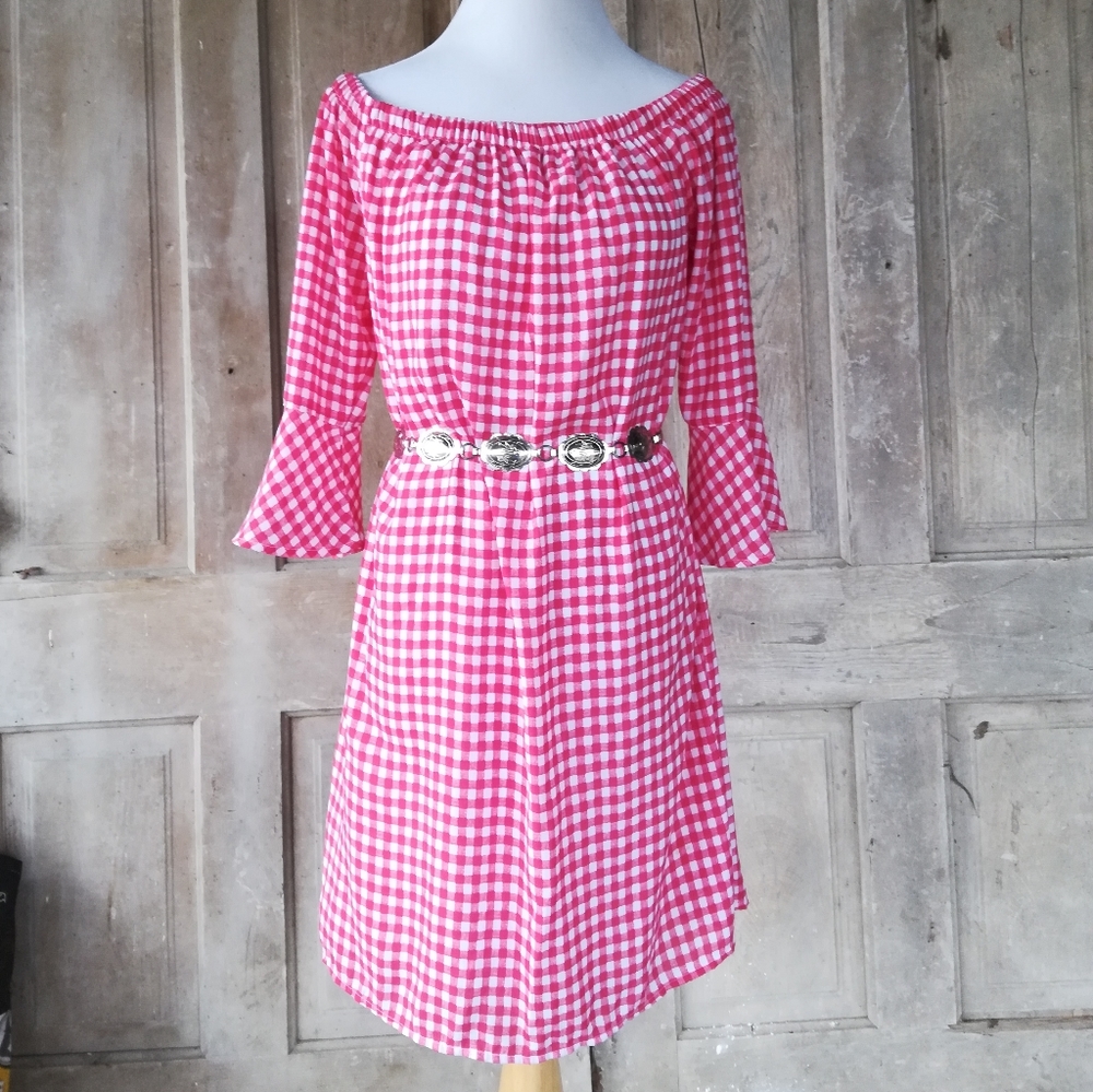 Red Gingham Dress - Picture 3 of 7